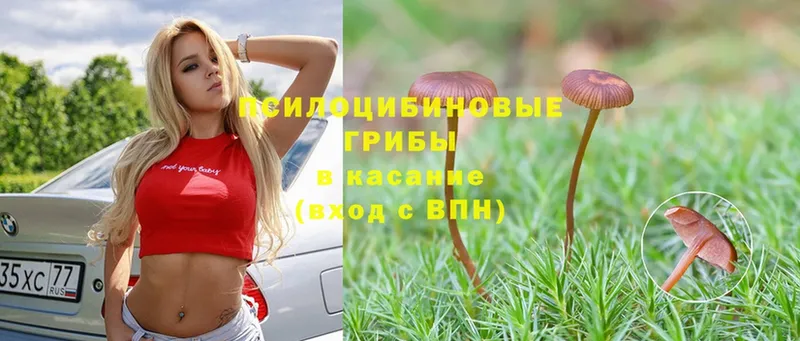 Галлюциногенные грибы Magic Shrooms  Кудрово 